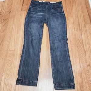 Pilcro and the Letterpress Dark Wash Side Zip High Rise Legging Jeans Size 27